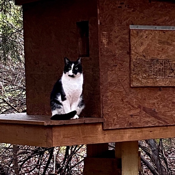 Meet your Posher, Gilda - Picture 5 of 10